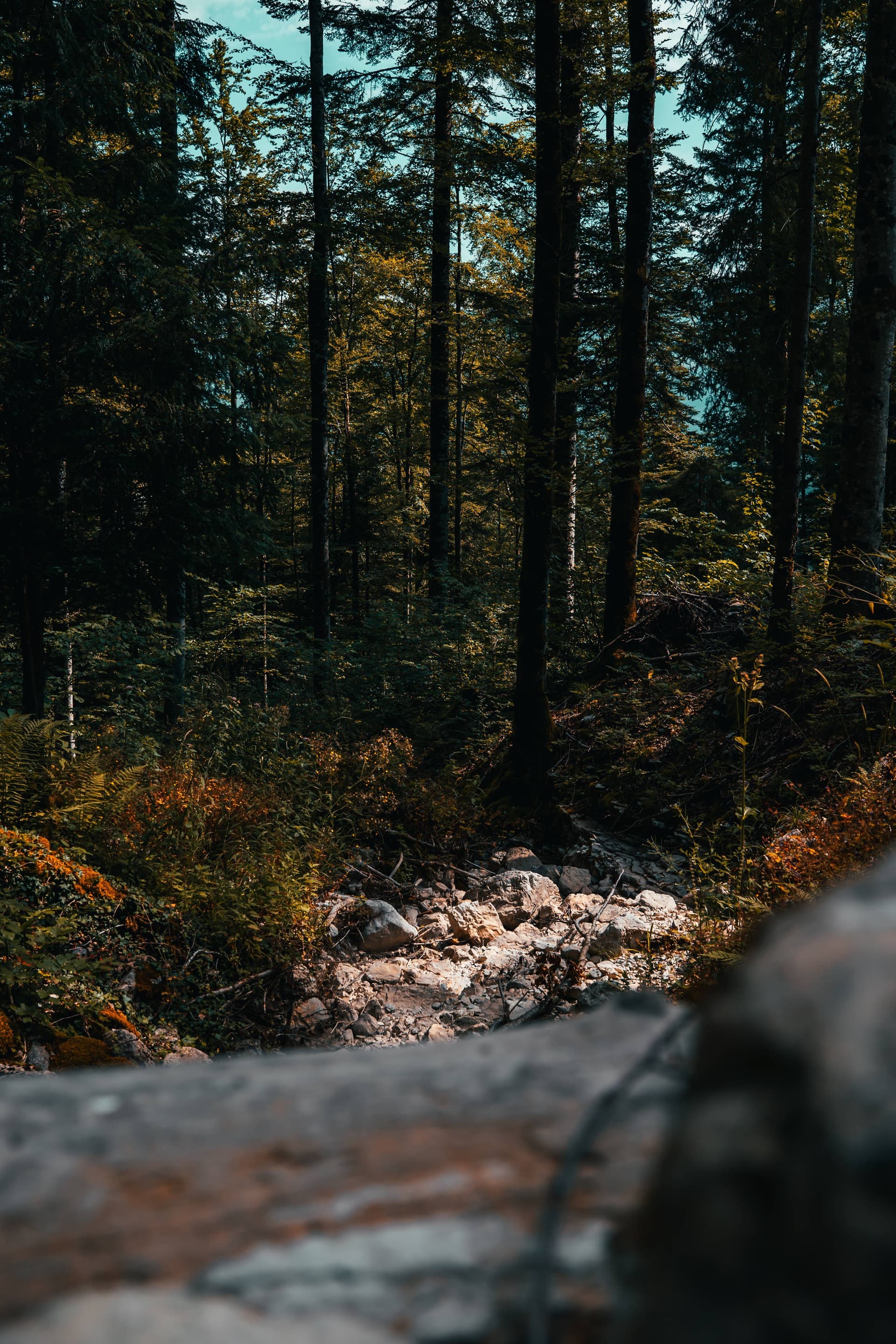 Les Mosses - Switzerland