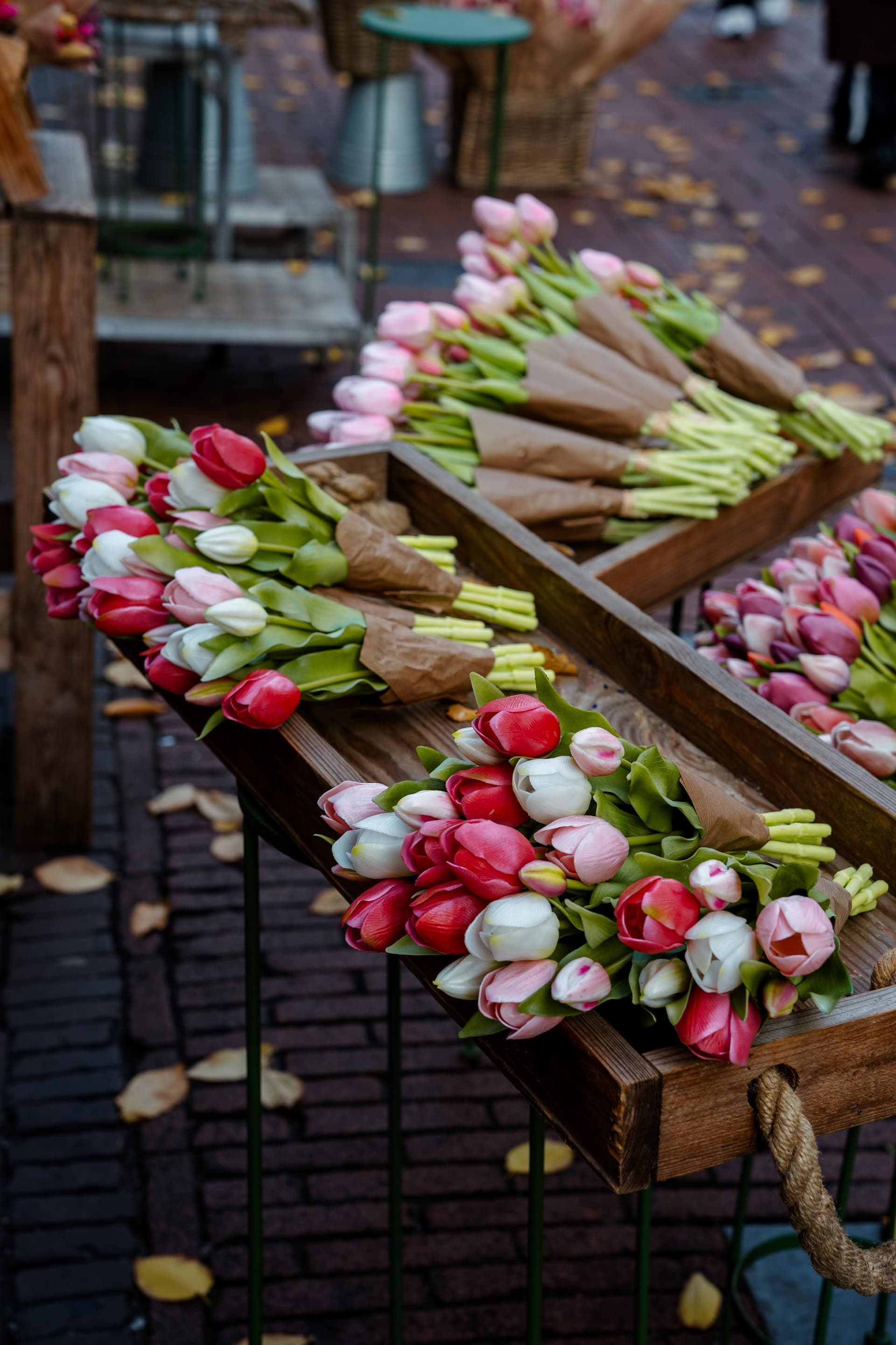 Amsterdam - The Netherlands