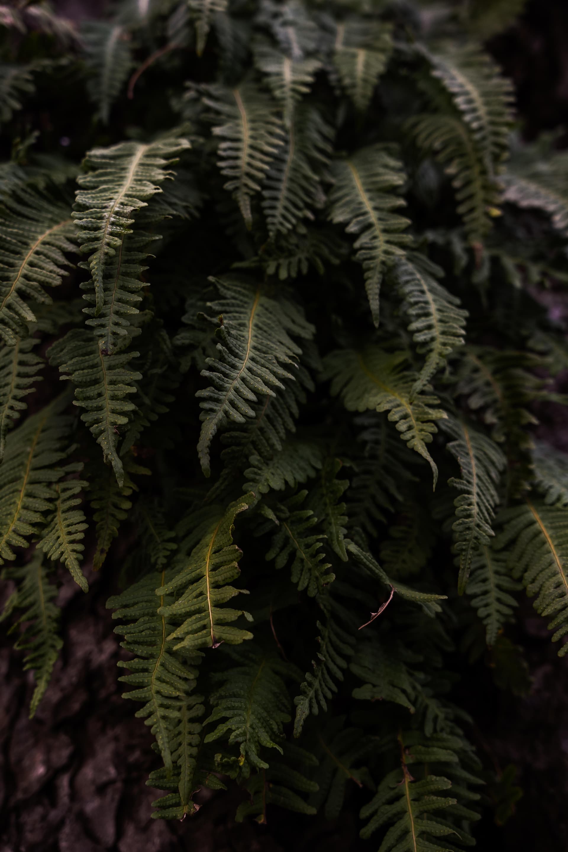 Lucern - Switzerland