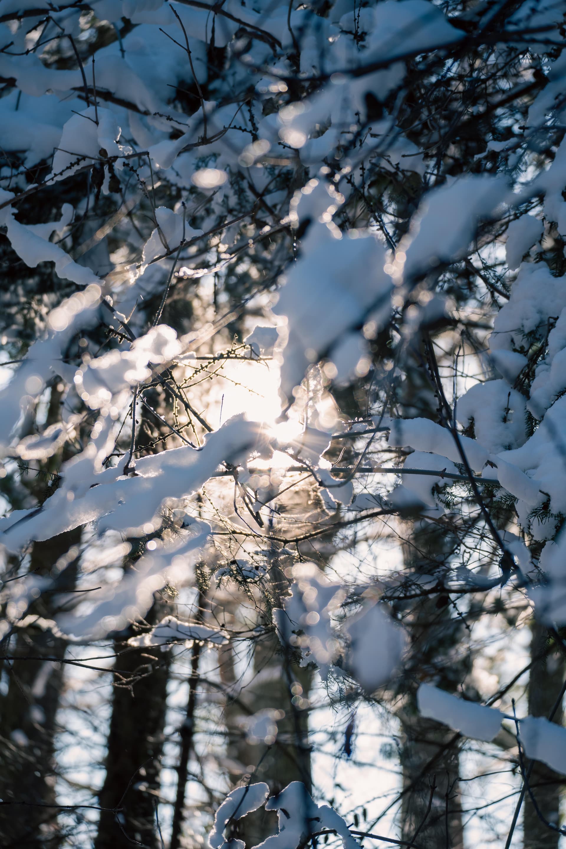 Murten - Switzerland