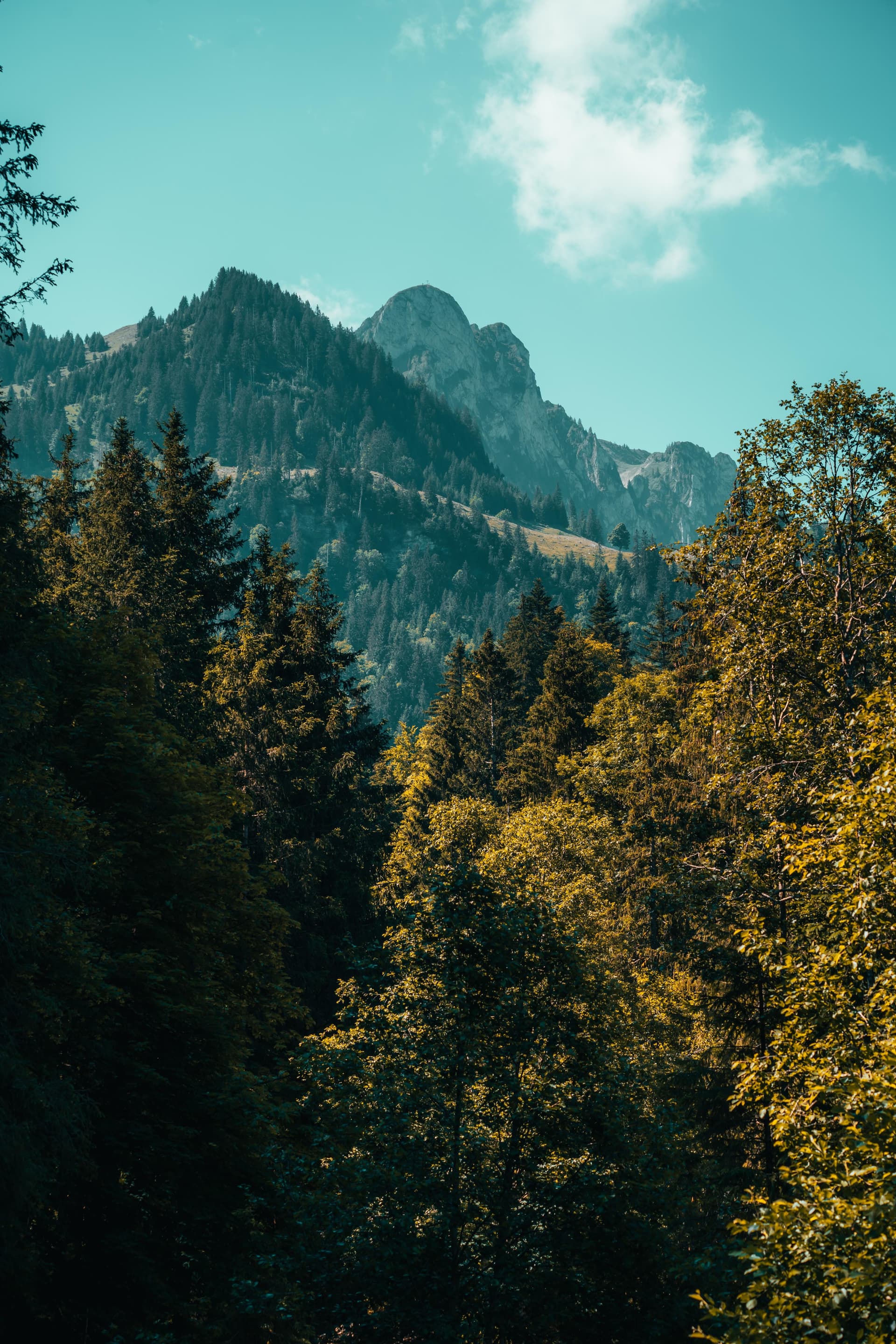 Lac Noir - Switzerland