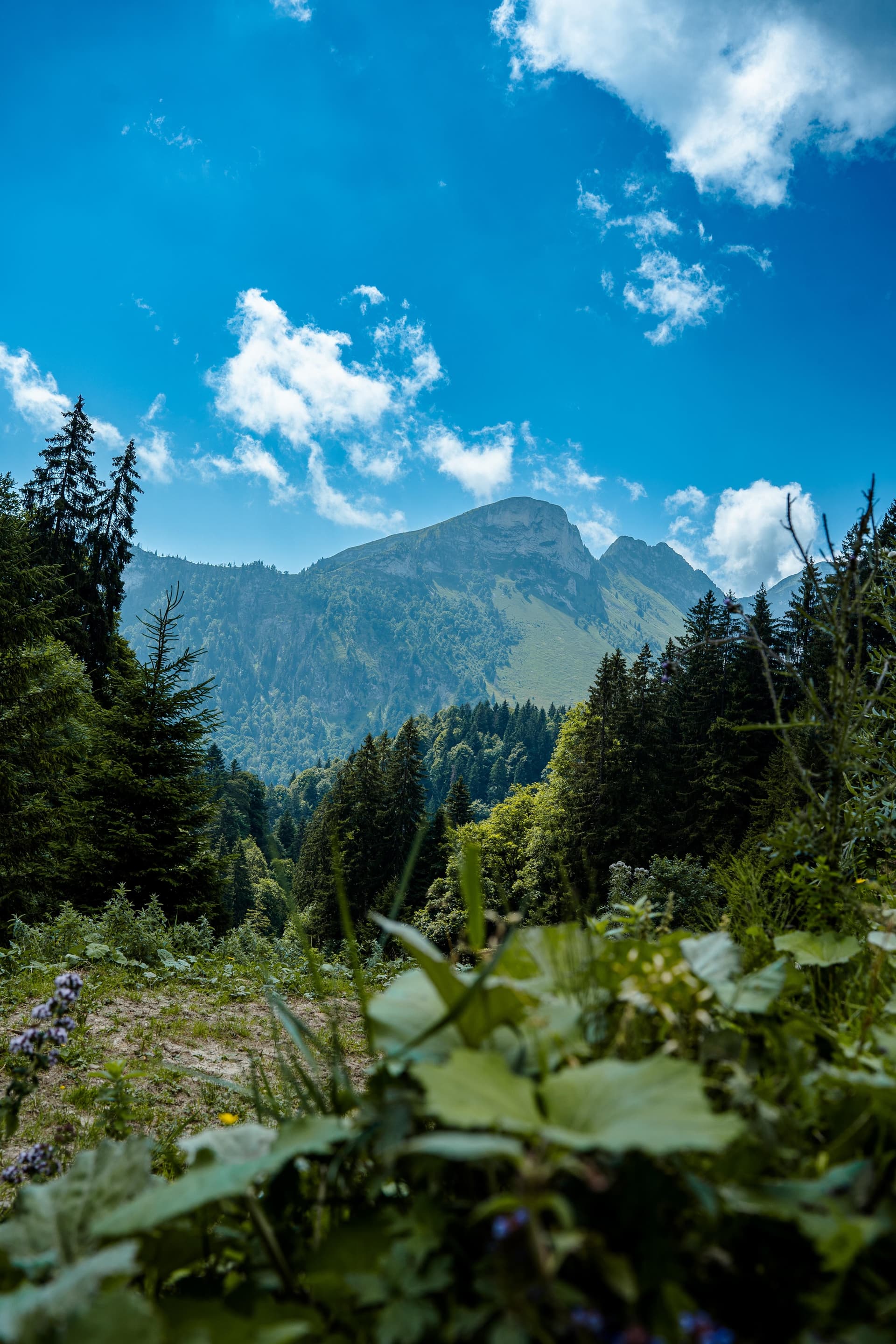 Les Mosses - Switzerland